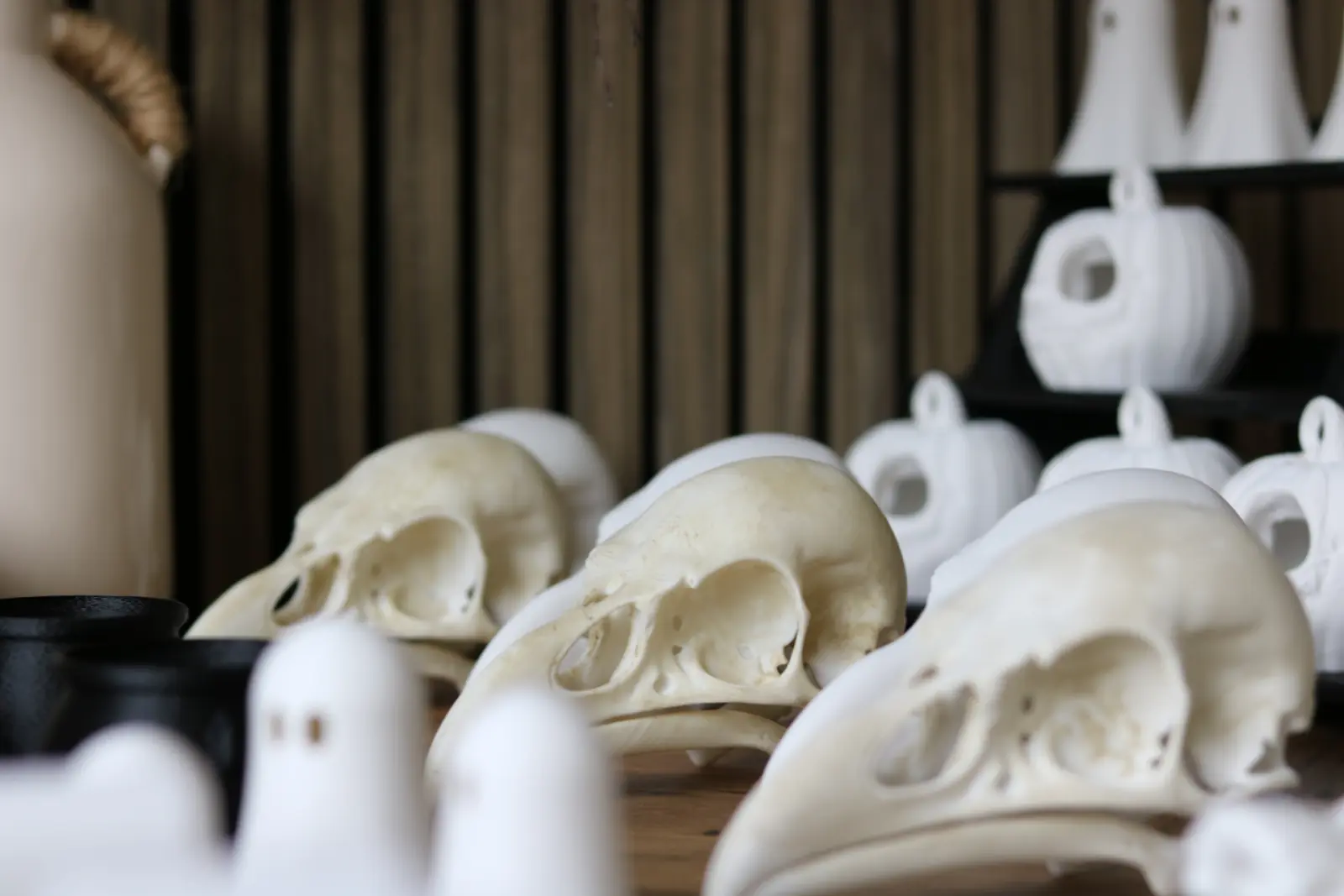 Pale bird-skull pieces on a wooden table.