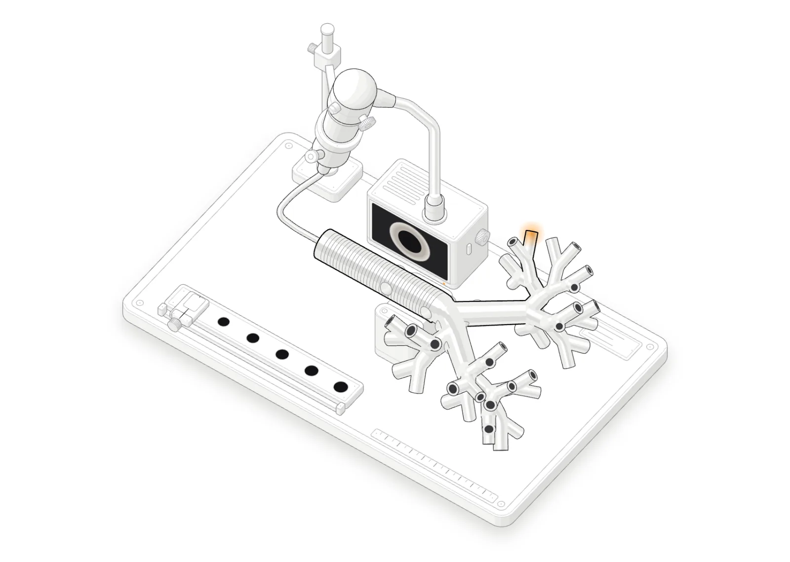 Isometric drawing of the training airway lying in its cradle on a bench, with a bronchoscope entering the trachea, a processor showing the scope view and a gauge of scope sizes.