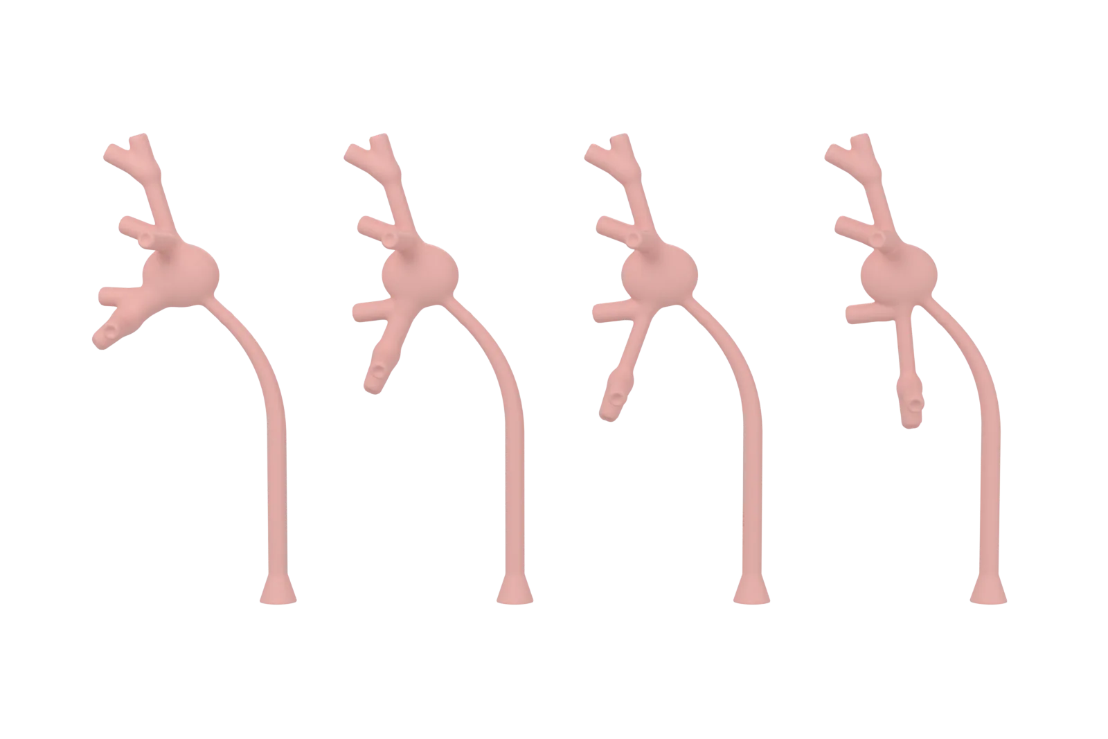 Render of the four collecting systems side by side, from the front. From left to right, the lower-pole branch closes in on the ureter.